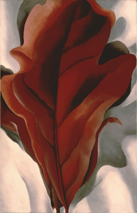 unnamed (4).png